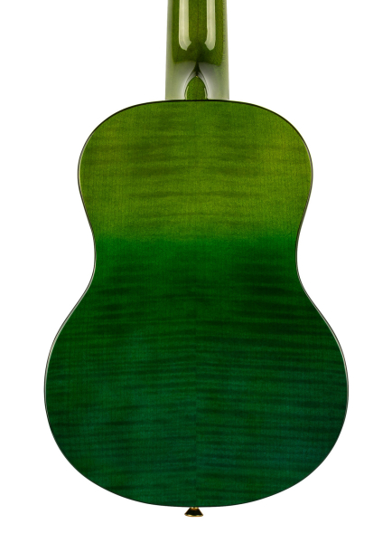 Ortega RUPR-IVY